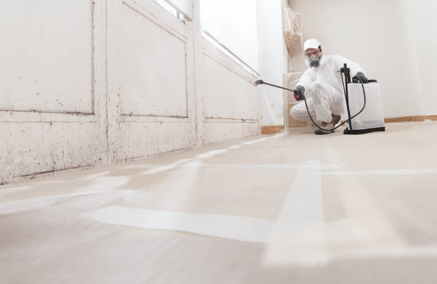 24/7 Emergency Mold Remediation experts in Clearwater, FL